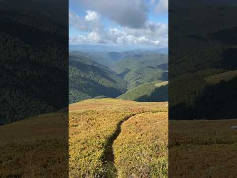 Похід у гори України | Похід Боржавою | Карпати 2025 #боржава #карпати #похід