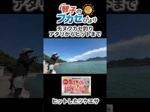 阪本智子のフカセ日和【場所選びが重要！】高水温期にチヌを手堅く釣るには？