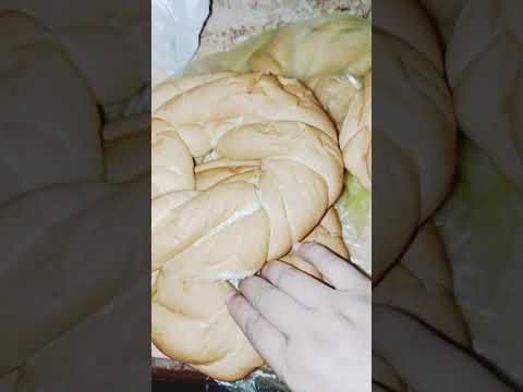 ١٧ سبتمبر ٢٠٢٥