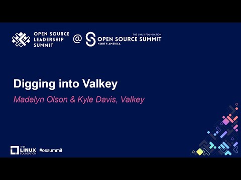 Digging into Valkey - Madelyn Olson & Kyle Davis, Valkey