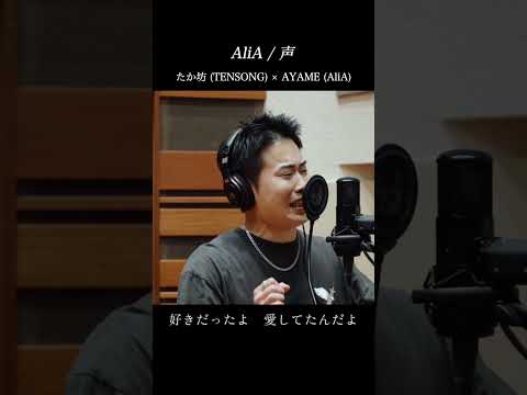 たか坊 (TENSONG) × AYAME (AliA) #AliA #声