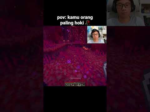 Momen Hoki Minecraft