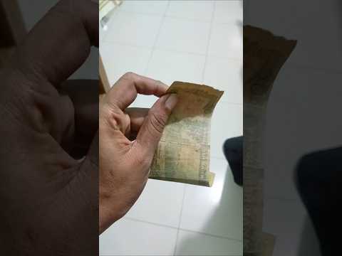 টাকা ছাড়া কারো কাছে দাম নাই 🥺 #foodchannel #foddielover #funnyanimal #foodforfoodies #funnycat