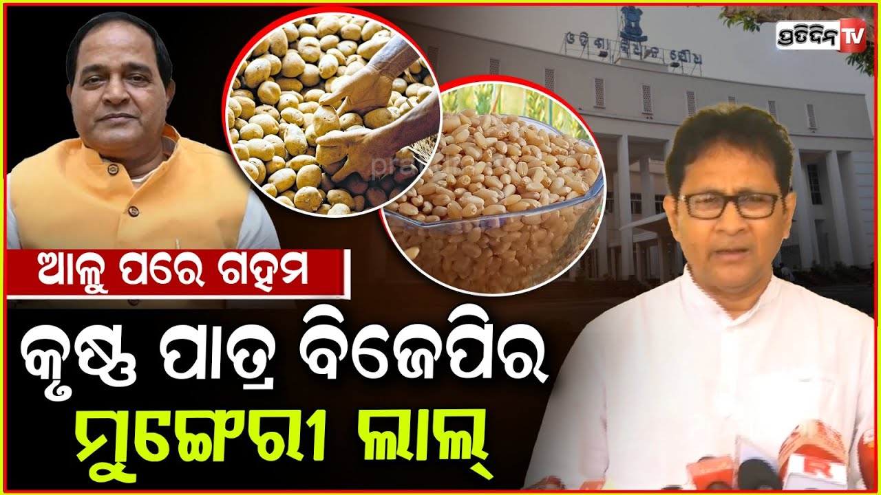 ଆଳୁଭଳି ଗହମ ସ୍ଵପ୍ନ, ଯୋଗାଣ ମନ୍ତ୍ରୀ ଦେଖେଇ ଚାଲିଛନ୍ତି। Wheat supply is a myth, told by Krushna Patra.