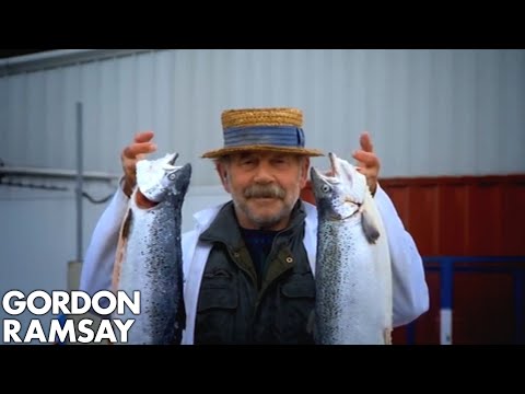 How to Buy Fish - Gordon Ramsay - UCIEv3lZ_tNXHzL3ox-_uUGQ