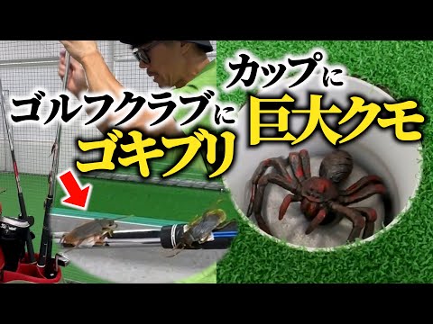 【ドッキリ】ゴルフクラブにゴキブリがついていたら＆カップに巨大クモがいたら・・・