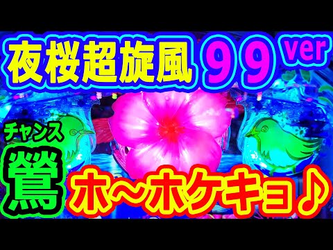 鶯チャンスでホ~ホケキョ♪『夜桜超旋風 99ver』