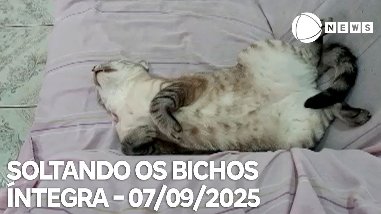 Soltando os Bichos – 07/09/2025