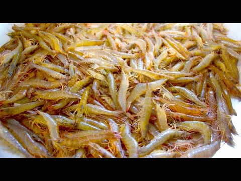 Một Cách Làm Món Mới Từ Tôm Cực Ngon Dễ Dàng Tại Nhà