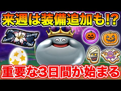 【ドラクエウォーク】来週は新装備追加!? 大事な3日間が始まります!!【DQW】