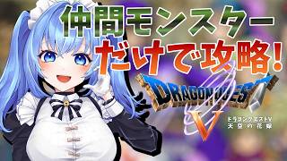 【 ドラクエⅤ 】妖精の世界を救いましょう～【 リンネ・ハンドレッド  】