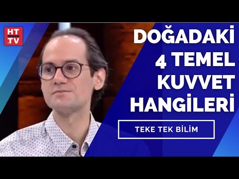 Doğadaki 4 temel kuvvet hangileri? Prof. Dr. Erkcan Özcan yanıtladı