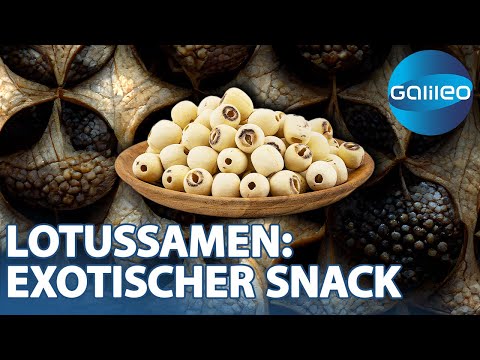 Neuster Food-Trend: Dieser exotische Snack macht dem Popcorn Konkurrenz | Galileo | ProSieben