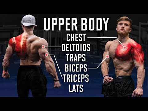 The Best Full UPPER BODY Workout For Max Muscle Growth (Science Applied) - UC68TLK0mAEzUyHx5x5k-S1Q