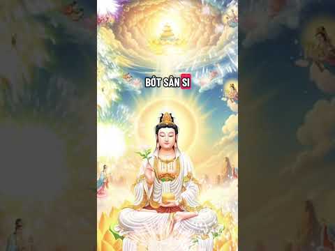 🌸Chỉ Một Lần Được Sống – Đừng Phí Hoài!🌸#tamtrang #phatphap #loiphatday #trietlysong #cuocsong