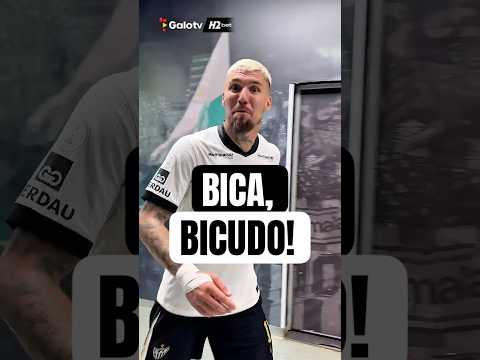 image para ilustrar o artigo