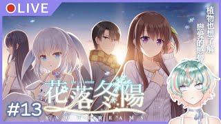 [LIVE] 【遊戲實況#13】讓老朽找回少女心【Snowdreams -lost in winter-/花落冬陽 -lost in win