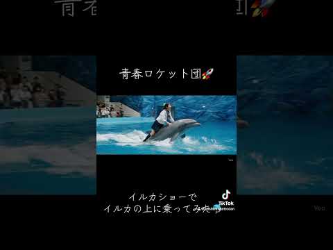 イルカショーでイルカの上に乗ってみた。　#ai #生成ai #ai動画 #YouTuber #AI