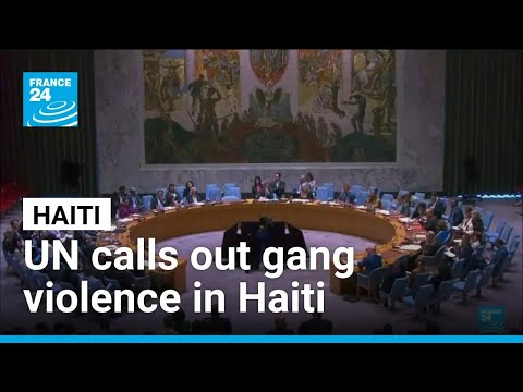 UN votes to authorize 5,550-member international Haiti force • FRANCE 24 English