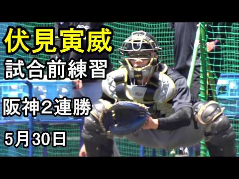 阪神 伏見寅威 試合前練習~阪神2連勝(ロッテ戰ZOZOマリン)2026.5.30