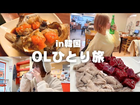 【社畜OLぼっち旅】合法のアレを食べる in 韓国