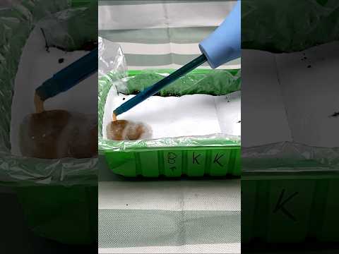 Строки та спосіб посіву перцю, які не підведуть! #перець #розсада #насіння #гумат #кориснетв