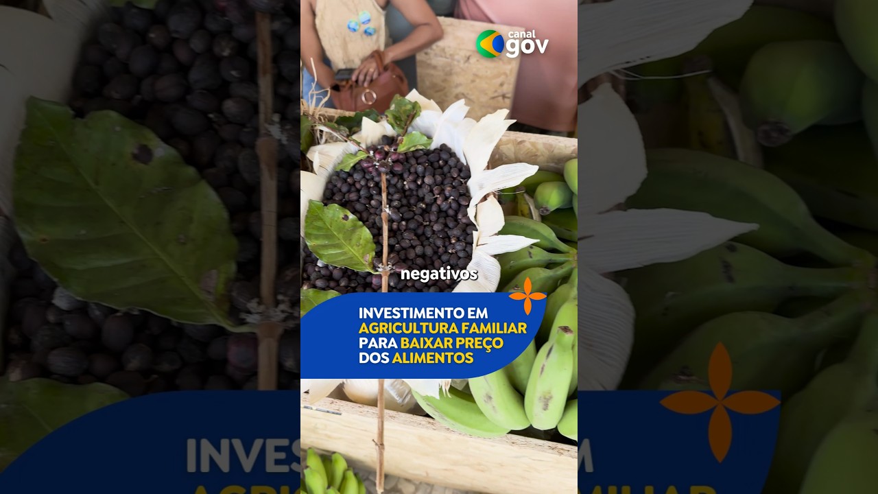 INVESTIMENTO EM AGRICULTURA FAMILIAR PARA BAIXAR ALIMENTOS | #noticias #agro #agricultura #lula