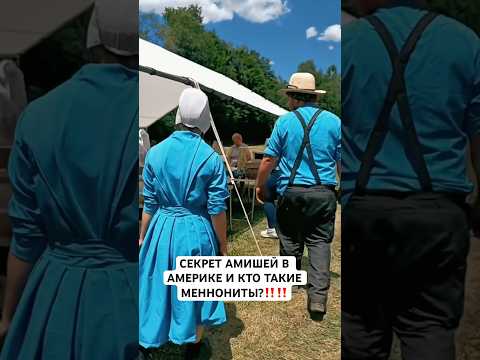 Секрет АМШЕЙ #shortvideo #вау #жизньвсша #america #сша #обзор #amish #староверы #short #mennonite