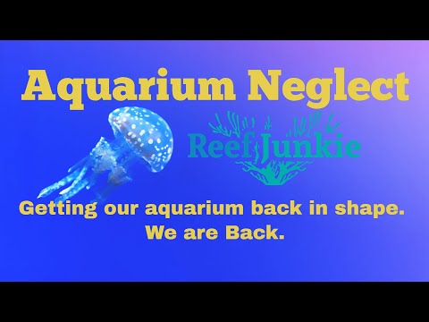 Aquarium Neglect - Why Does It Happen? Bring Our R Come along as we bring our year long neglected aquarium back to life. Why do we neglect our aquarium
