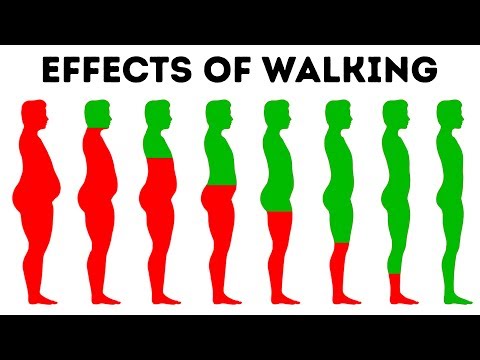 What Will Happen to Your Body If You Walk Every Day - UC4rlAVgAK0SGk-yTfe48Qpw