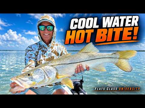 Fall transition fishing: how to find redfish & snook & flats class YouTube video thumbnail