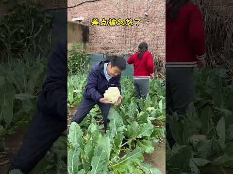 #funny #lifeisbutadream #funnycomedymovies #whowillbemylifepartnerta #funnymovies #newcomedy