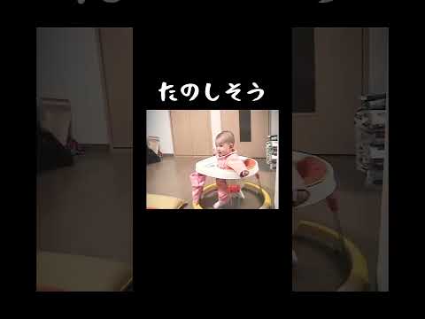 たのしそう(^^)　#shorts　#スー　#6ヶ月