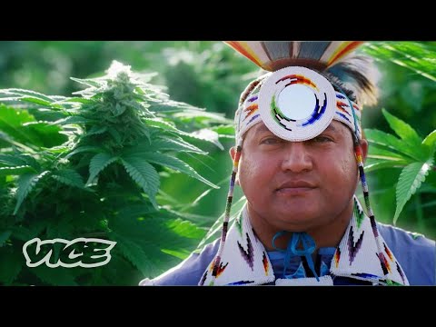 パイユート族のマリファナ事業｜WEEDIQUETTE
