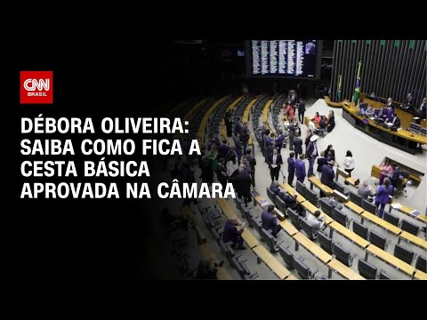 ​Débora Oliveira: Saiba como fica a cesta básica aprovada na Câmara | CNN NOVO DIA