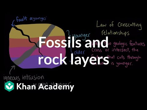Fossils and rock layers | The geosphere | Middle school Earth and space science | Khan Academy