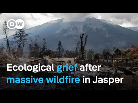 National mourning after monster wildfire spanning 36,000 hectares devastates Canadian town of Jasper