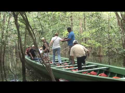 South America: The Amazon - UCvW8JzztV3k3W8tohjSNRlw