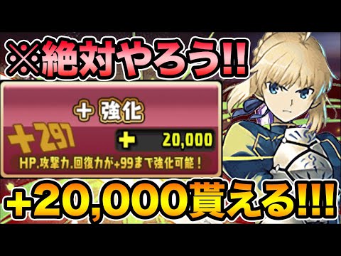※必ずやってください！+20,000ポイントor魔法石8個GET！3択一度きりヘラチャレンジにセイバーで挑む！最強の助っ人も！？【スー☆パズドラ】