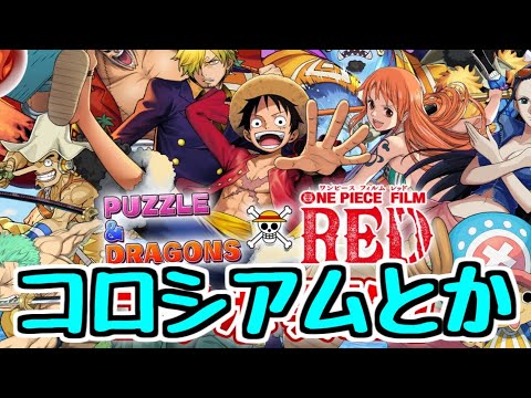 【生放送】ワンピースコラボ 育成したりコロシアム行ったり【パズドラ】