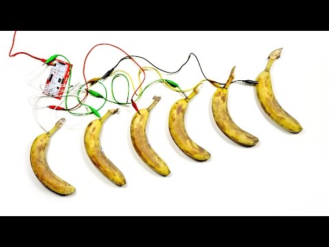 You've Never Seen Bananas Do This... - UCsTcErHg8oDvUnTzoqsYeNw