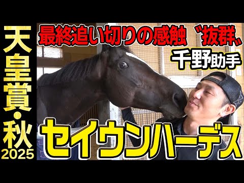 【天皇賞・秋2025】セイウンハーデス・千野助手「最終追い切りは抜群」「何より一番強いのはスタート」《JRA共同会見》