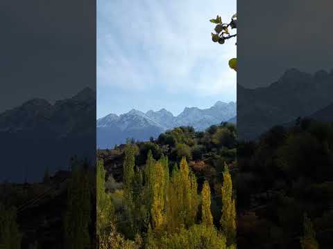 #youtubeshorts #thalapathy #song #gaming #mountains #home #chitral #rap #kpk #malakand #nature #