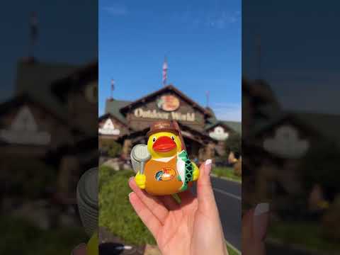 O-fish-ally the best duck we've ever seen!