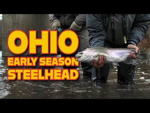 Early Season Steelhead - Ohio