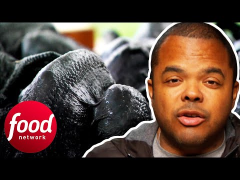 Mouthwatering & Juicy Black-Skinned Chicken Cooked Over Hot Coals! | Man Fire Food