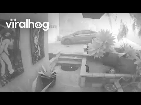 Security Camera Footage Shows Wildfire Reaching Homes in Camarillo || ViralHog