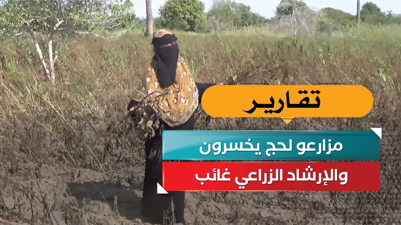 قناة السعيدة