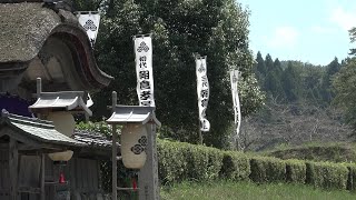 動画サムネイル