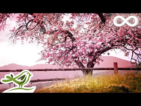 Relaxing Piano Music: Romantic Music, Beautiful Relaxing Music, Sleep Music, Stress Relief ★122 - UCjzHeG1KWoonmf9d5KBvSiw